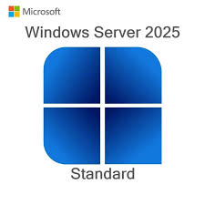 Microsoft Windows Server 2025 Standard 16 core OEM DVD Kutu EP2-25187