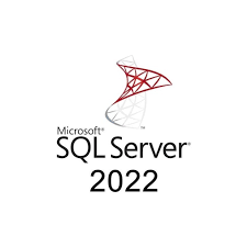 Microsoft SQL Server 2022 Standard ESD Lisans 7NQ-00162